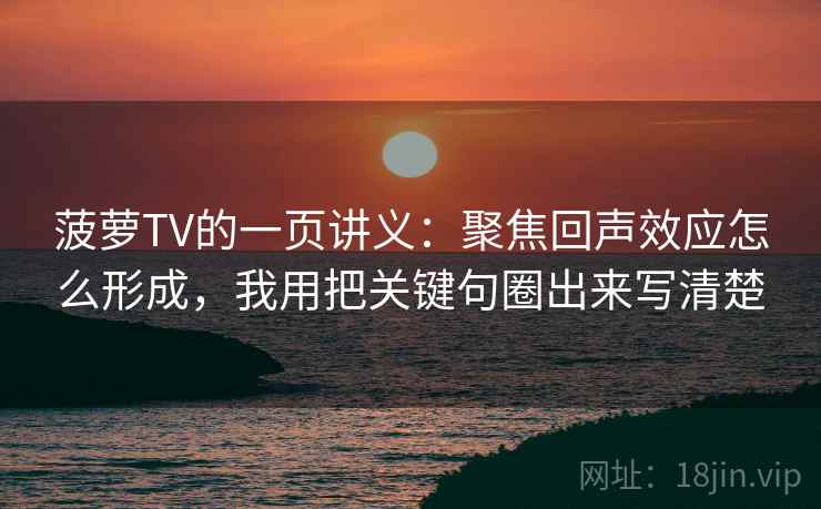 菠萝TV的一页讲义：聚焦回声效应怎么形成，我用把关键句圈出来写清楚